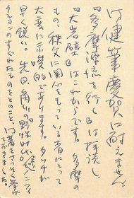 金子兜太葉書