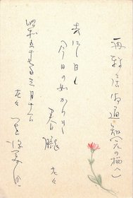 笹沢美明葉書